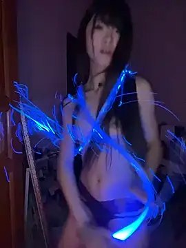 Show modela LinLin_cpp na web-kameri
