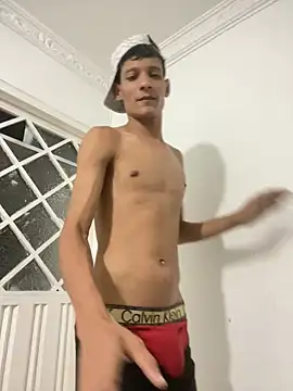 Pertunjukan Kamera Web BEM_BOY