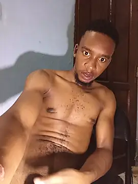 הופעת וובקאם של PrettyDickk1