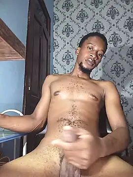 PrettyDickk1 Webcam Show