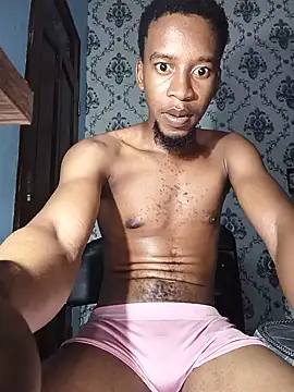 הופעת וובקאם של PrettyDickk1