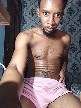 PrettyDickk1 Webcam Show