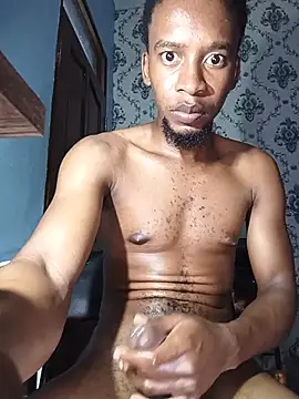 PrettyDickk1 Webcam Show