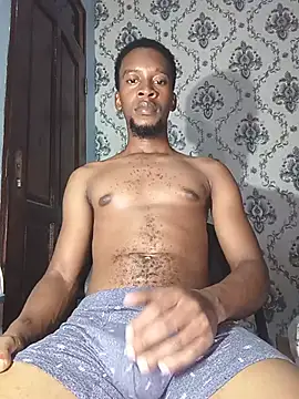 PrettyDickk1のウェブカメラショー