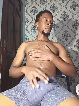 הופעת וובקאם של PrettyDickk1