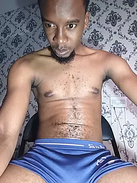 PrettyDickk1のウェブカメラショー