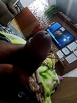 Show de webcam de rolapreta244