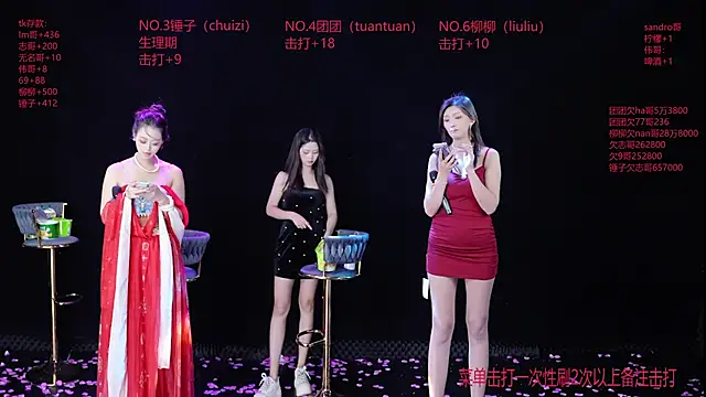 DL88-99 Show Webcam