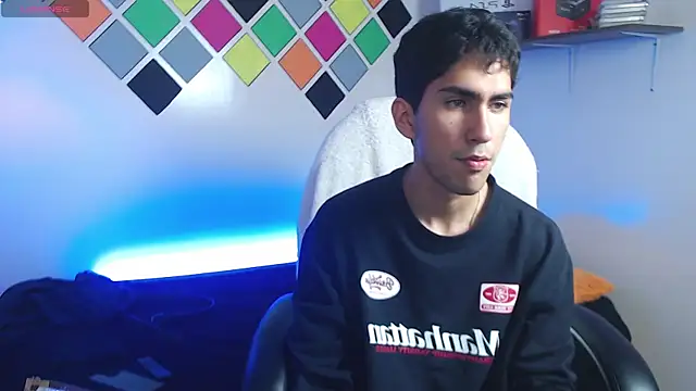adan_towern Webbikameraesitys