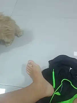 Show de webcam de JP_Campinas