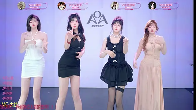 AOA-001 webcam show