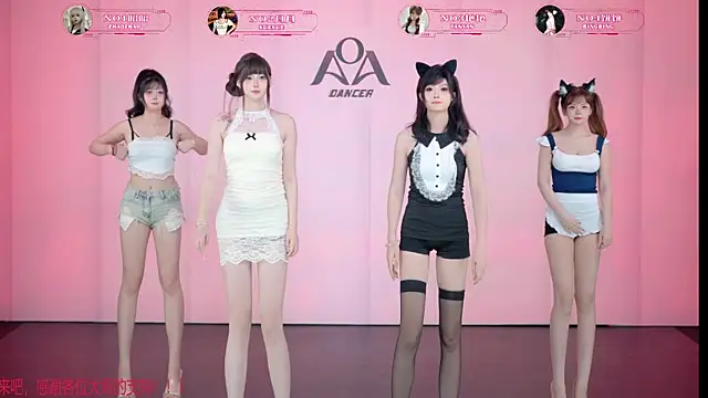 Show Webcam de AOA-001