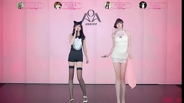 AOA-001n Webbikameraesitys