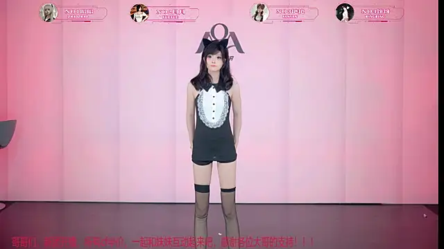 AOA-001n Webbikameraesitys