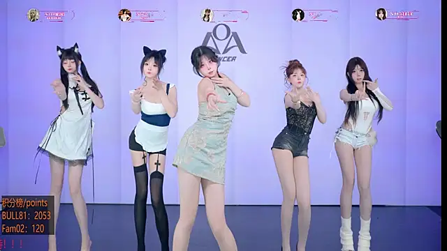 AOA-001 Show Webcam
