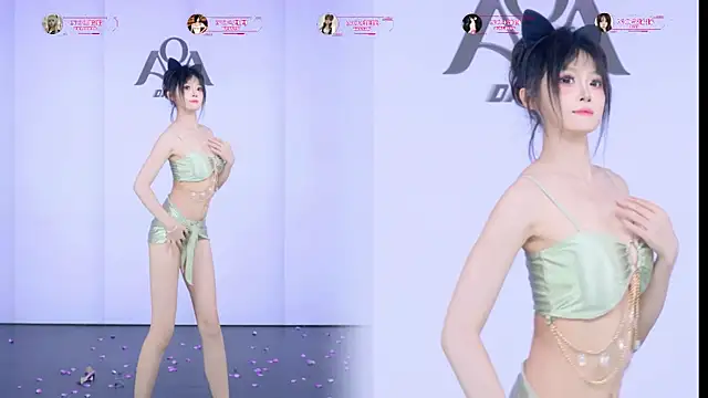 AOA-001 Show Webcam