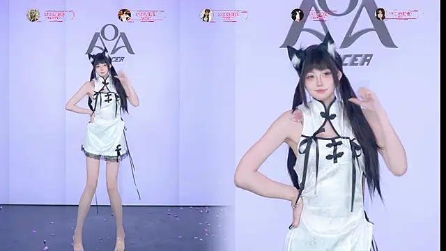 AOA-001 Show Webcam
