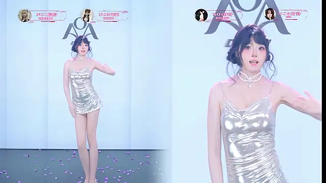 Show Webcam de AOA-001