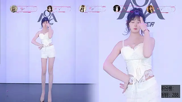 Show webcam de AOA-001