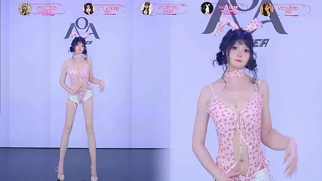 AOA-001n Webbikameraesitys