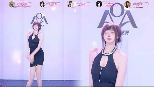 AOA-001n Webbikameraesitys