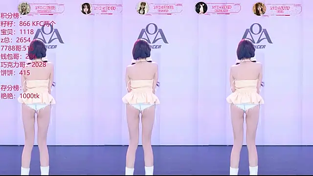 AOA-001 Webcam-Show
