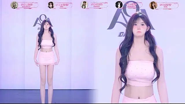 AOA-001n Webbikameraesitys