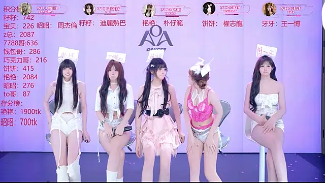 Show webcam de AOA-001