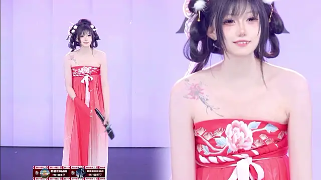 Show webcam de AOA-001