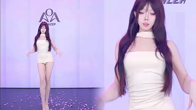 Show webcam de AOA-001