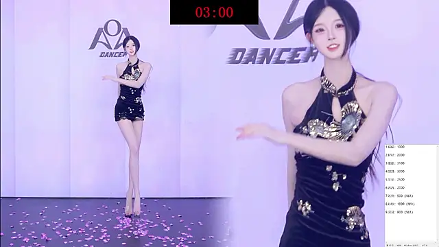AOA-001 Show Webcam
