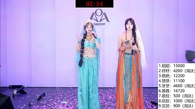 Show webcam de AOA-001