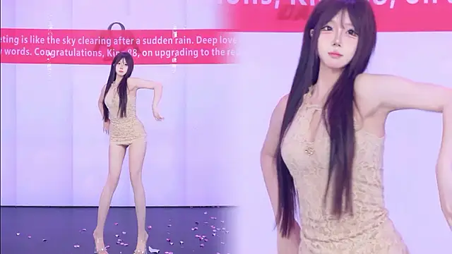 Show Webcam de AOA-001
