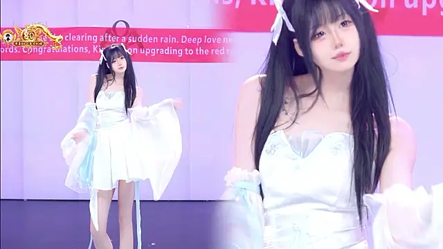 AOA-001 Show Webcam