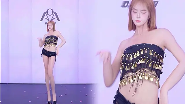 Show webcam de AOA-001