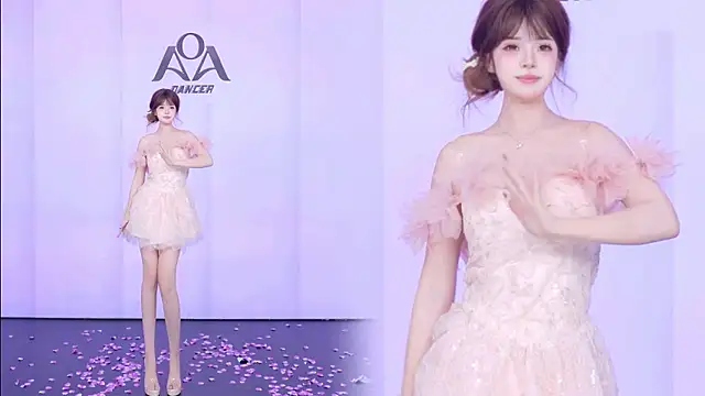 Show webcam de AOA-001