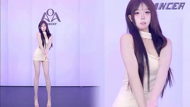 AOA-001n Webbikameraesitys