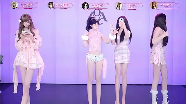 AOA-001n Webbikameraesitys