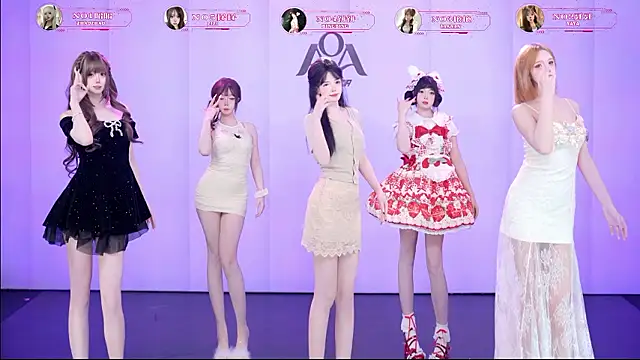 โชว์เว็บแคมของ AOA-001