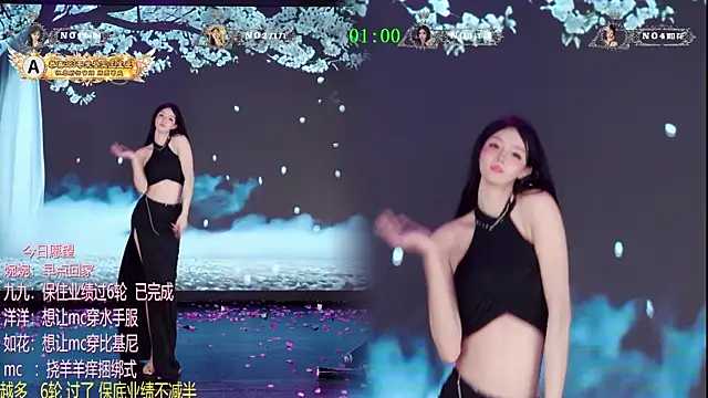 TA-001 网络视讯表演