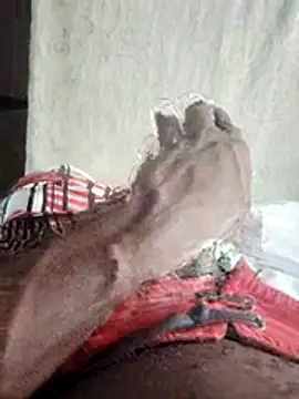 Show webcam de Bite229