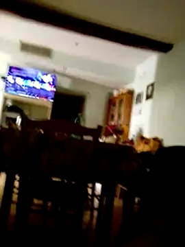 Show webcam de Fotto666