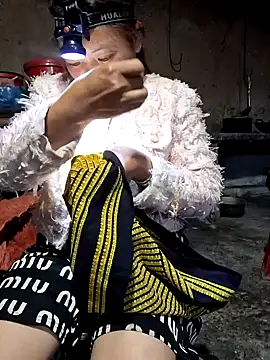 Bini-ll 网络视讯表演