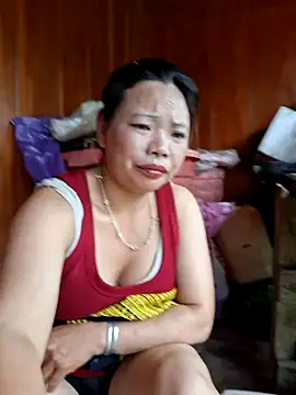 Bini-ll Show Webcam
