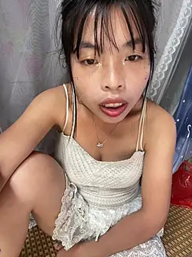 Hikomy- Show Webcam