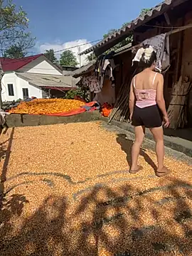 Hikomy- Pertunjukan Webcam