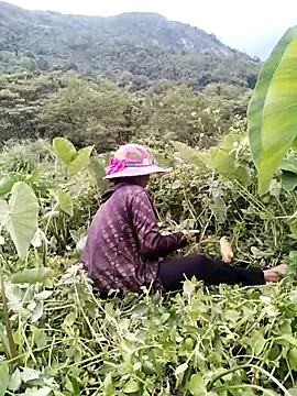 Jadi_M 网络视讯表演