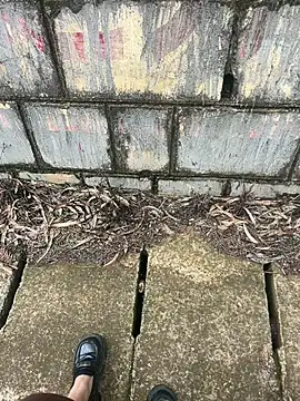 gaojujiang_8のウェブカメラショー