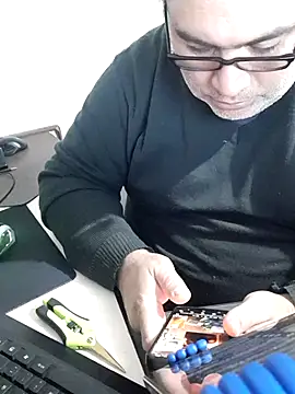 12Paradarte Webcam-Show