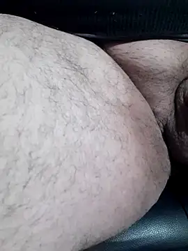 12Paradarte Webcam-Show